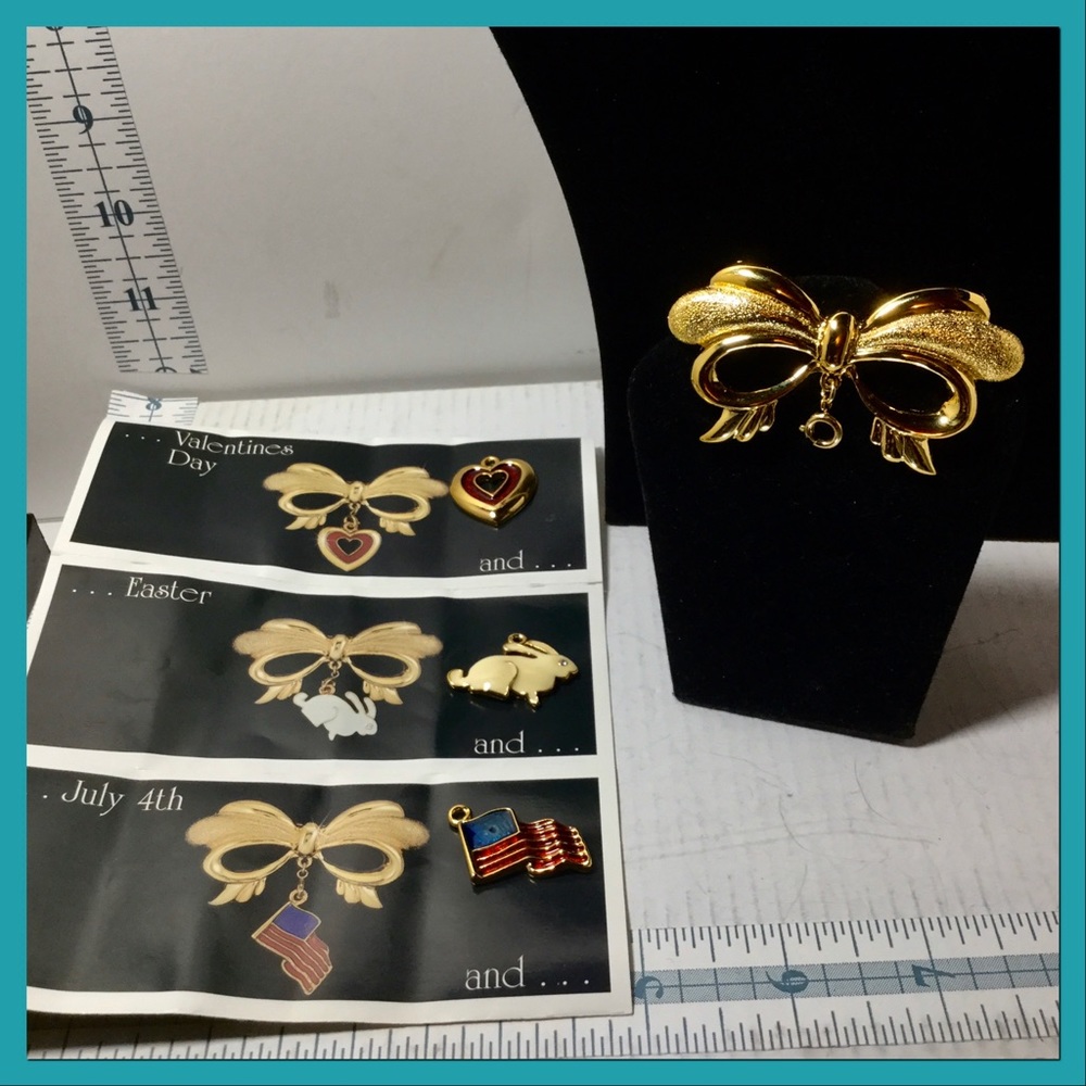 Versatile Charm Brooch